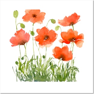 Poppies Posters and Art